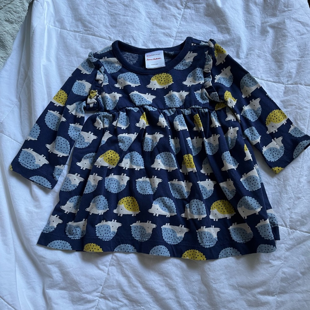 Hanna Andersson hedehog dress